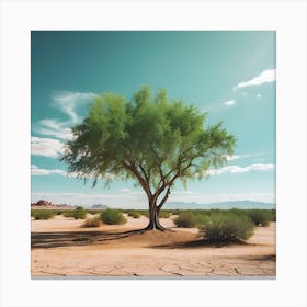 A Thriving Green Tree In The Middle Of A Dry Desert Canvas Print