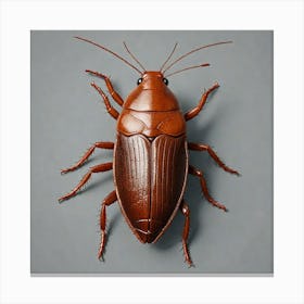 Cockroach 2 Canvas Print