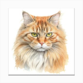 Sam Sawet Cat Portrait Canvas Print