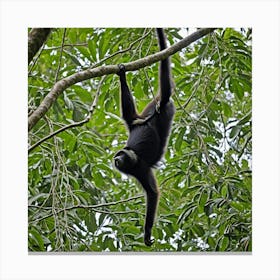 Howler Monkey Primate Wildlife Rainforest Canopy Mammal Tree Branches Tropical Loud Vocal (5) Canvas Print