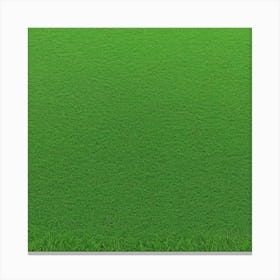 Grass Flat Surface For Background Use (100) Canvas Print