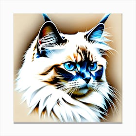 Creative Feline Cat Artwork 7 Canvas Print