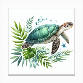 Turtle Canvas Print