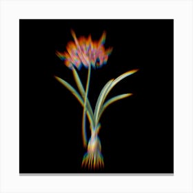 Prism Shift Guernsey Lily Botanical Illustration on Black n.0213 Canvas Print