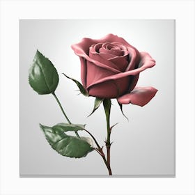 Rose2024 Canvas Print