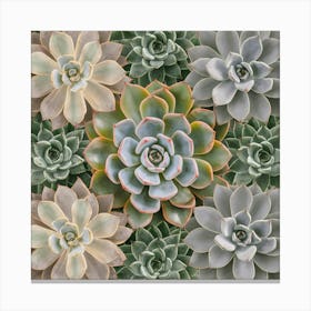 Succulents Geometric Nature Canvas Print