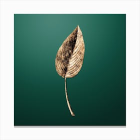Gold Botanical Powdery Alligator Flag on Dark Spring Green n.0808 Canvas Print