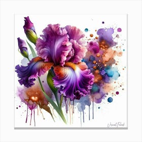 Purple Bearded Iris Canvas Print