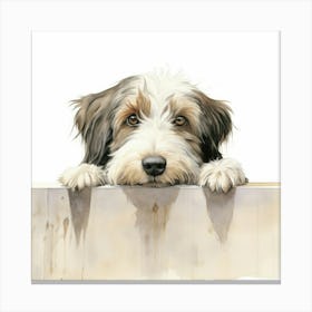 Tibetan Terrier Dog 3 Canvas Print