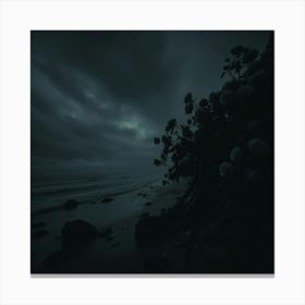 Dark Night At The Beach Canvas Print