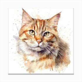 Highlander Cat Portrait 2 Canvas Print