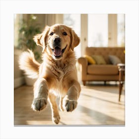 Golden Retriever Jumping 1 Canvas Print