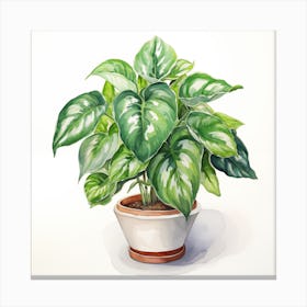 Philodendron Canvas Print