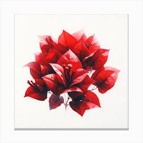 Red Poinsettia Canvas Print