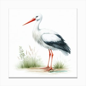 Stork 5 Canvas Print