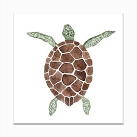 Sea Turtle2 Canvas Print