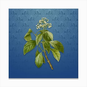 Vintage Climbing Hydrangea Botanical on Bahama Blue Pattern n.1000 Canvas Print
