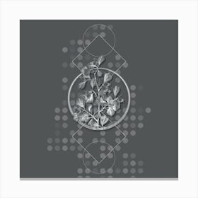 Vintage Spathula Leaved Thorn Flower Botanical with Line Motif and Dot Pattern in Ghost Gray n.0283 Canvas Print
