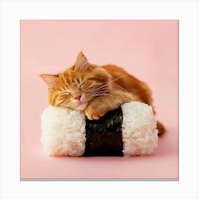 Cat Sleeping On Sushi Canvas Print