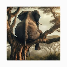 Elephant In The Tree Canvas Print