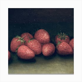 Fruit 13 Canvas Print