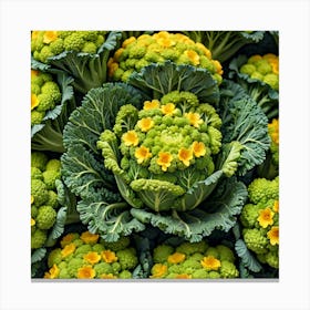 Florets Of Cauliflower Canvas Print