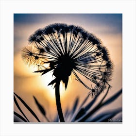 Sunset Dandelion 2 Canvas Print