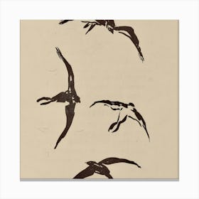 Four Birds In Flight Canvas Print