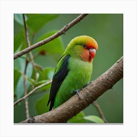 Green Lovebird Canvas Print