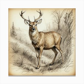 Deer! 68 Canvas Print