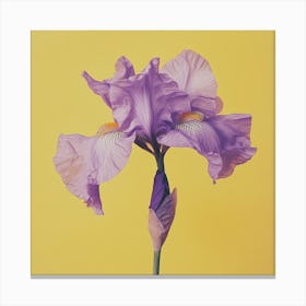 Purple Iris Flower Lienzo