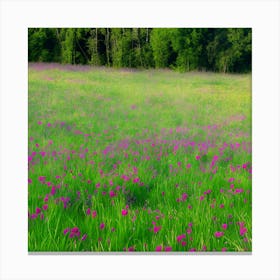 Field Of Purple Flowers Canvas Print