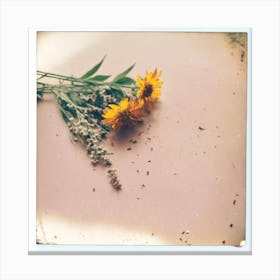 Sunflowers Canvas Print