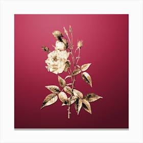 Gold Botanical Common Rose of India on Viva Magenta Canvas Print