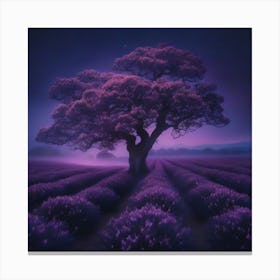 Lavender Field At Night Canvas Print