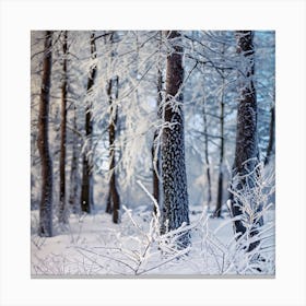 Winter Forest Photo Canvas Print