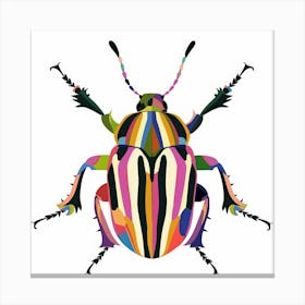 Beetle 69 Canvas Print