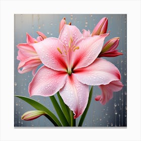 Flower of Hippeastrum 5 Canvas Print