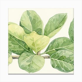 Ivy Leaves Canvas Print