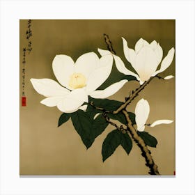 Magnolia Canvas Print