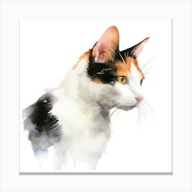 Japanese Bobtail Cat Portrait Canvas Print