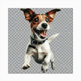 Jack Russell Terrier 2 Canvas Print