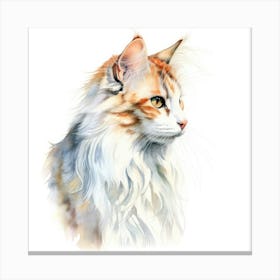 American Curl Cat Portrait 1 Canvas Print