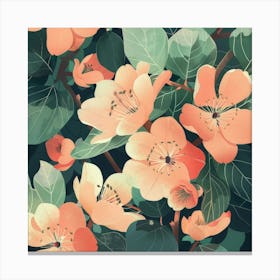 Apricot Blossoms Canvas Print