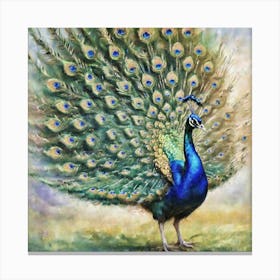 Peacock splendor Canvas Print