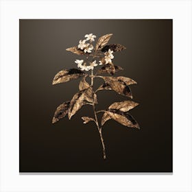Gold Botanical Sweet Pittosporum Branch on Chocolate Brown n.3890 Canvas Print