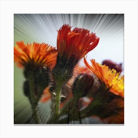 Flowers - Flower Stock Videos & Royalty-Free Footage Canvas Print