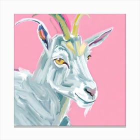Goat 09 Canvas Print