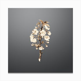 Gold Botanical Pear Tree Flowers on Soft Gray n.3393 Canvas Print