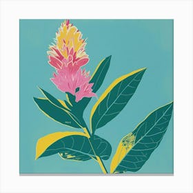 Celosia 1 Square Flower Illustration Canvas Print